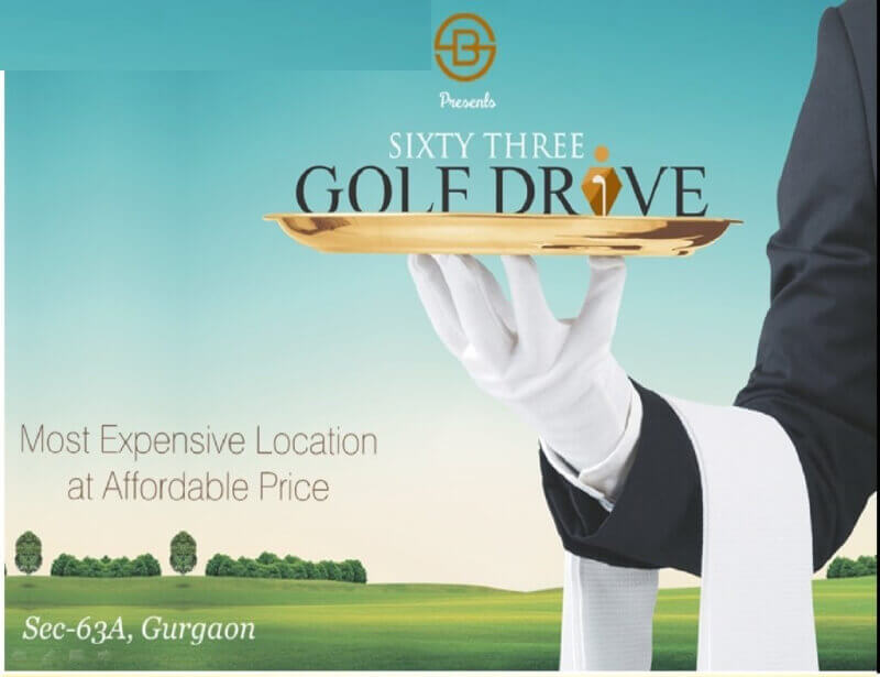 Paradise Consulting 63 Golf Drive